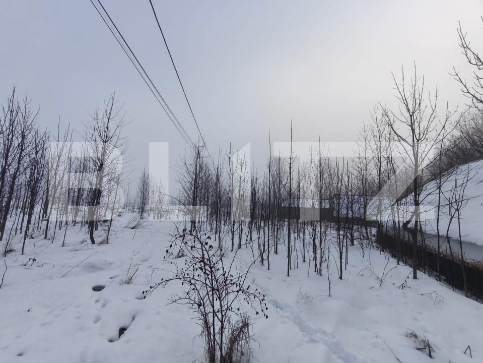 Casa de vânzare 3 camere Negostina - 186575CV | BLITZ Suceava | Poza2