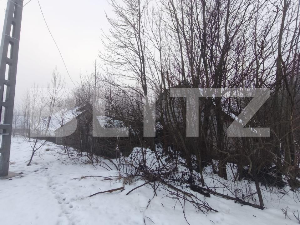Casa de vânzare 3 camere Negostina - 186575CV | BLITZ Suceava | Poza4