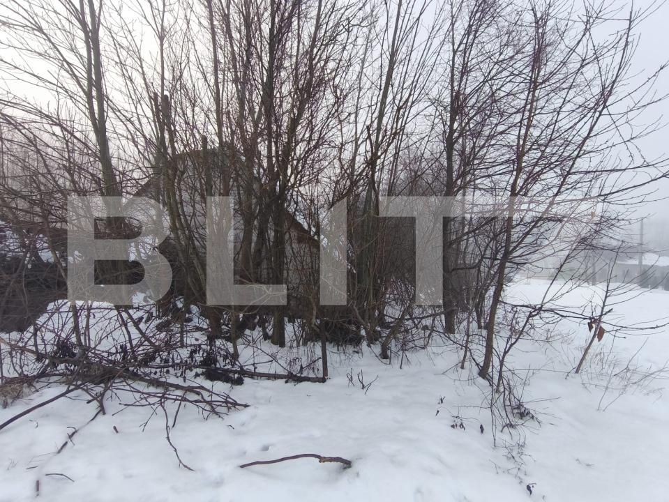 Casa de vânzare 3 camere Negostina - 186575CV | BLITZ Suceava | Poza5