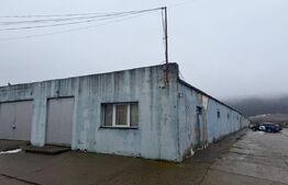 Hală industrială, teren 29.7 ari, acces cu camionul, Itcani