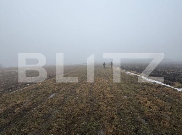 Teren de vânzare Nord - 186849TV | BLITZ Suceava | Poza2