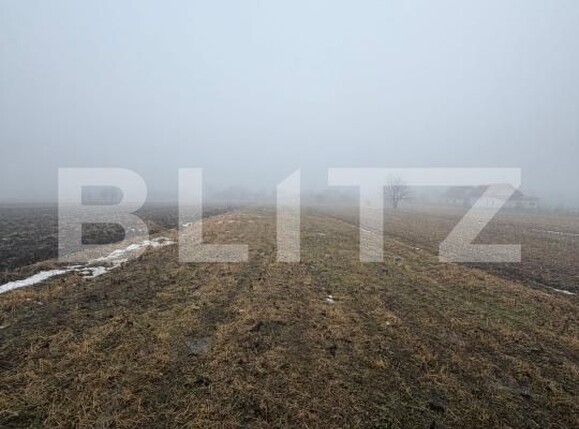 Teren de vânzare Nord - 186849TV | BLITZ Suceava | Poza3