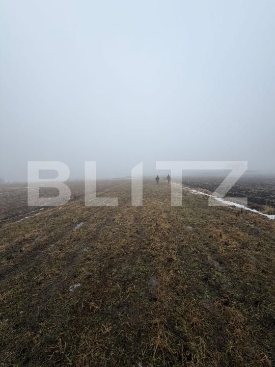 Teren de vânzare Nord - 186849TV | BLITZ Suceava | Poza2