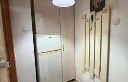 Garsoniera, parter ,Radauti