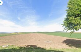 Teren 75 ari, Drumul Mitocului, la strada principala