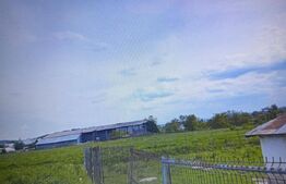 Casa si un teren de 3000mp, Mitocul Dragomirnei