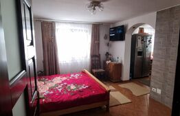 Casa si un teren de 3000mp, Mitocul Dragomirnei
