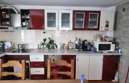 Casa si un teren de 3000mp, Mitocul Dragomirnei
