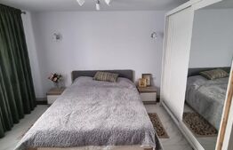 Casa si un teren de 3000mp, Mitocul Dragomirnei