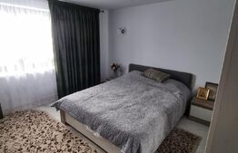 Casa si un teren de 3000mp, Mitocul Dragomirnei