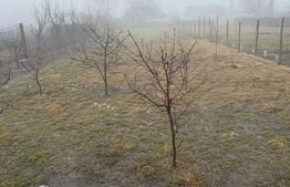 Casă spațioasă cu teren 11 ari în Liteni Moara