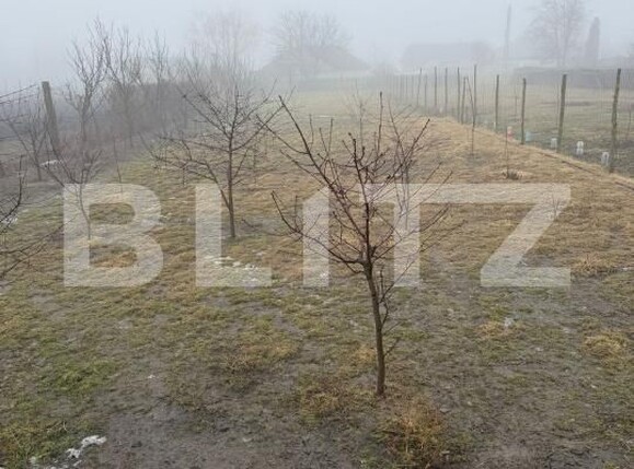 Casa de vânzare 5 camere Periferie - 186893CV | BLITZ Suceava | Poza7
