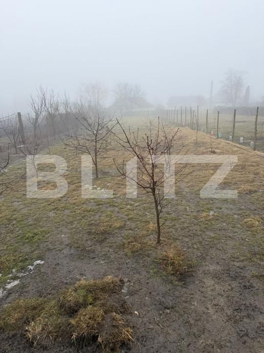 Casa de vânzare 5 camere Periferie - 186893CV | BLITZ Suceava | Poza7