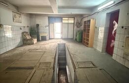 Hala industriala echipata complet service, 90 mp, zona Scheia