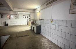 Hala industriala echipata complet service, 90 mp, zona Scheia