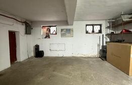 Hala industriala echipata complet service, 90 mp, zona Scheia