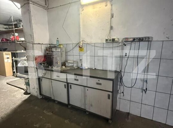 Spațiu industrial de închiriat Scheia - 186994SII | BLITZ Suceava | Poza6