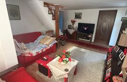 Casa de vanzare – Mitocul Dragomirnei