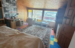 Casa de vanzare – Mitocul Dragomirnei