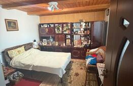 Casa de vanzare – Mitocul Dragomirnei