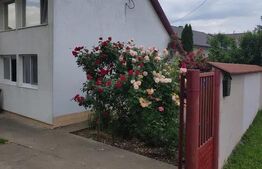 Casa de vanzare – Mitocul Dragomirnei
