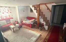 Casa de vanzare – Mitocul Dragomirnei