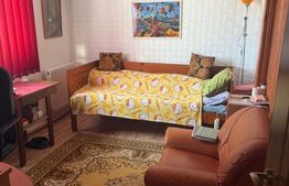 Casa de vanzare – Mitocul Dragomirnei