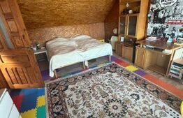 Casa de vanzare – Mitocul Dragomirnei