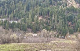 Teren intravilan, 22600mp, zona Manastirea Sucevita