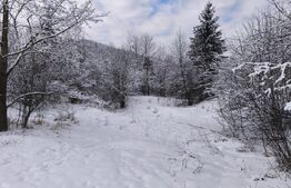 Teren intravilan, 22600mp, zona Manastirea Sucevita