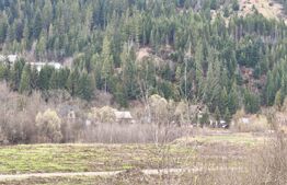 Teren intravilan, 22600mp, zona Manastirea Sucevita