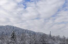 Teren intravilan, 22600mp, zona Manastirea Sucevita