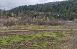 Teren intravilan, 22600mp, zona Manastirea Sucevita