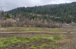 Teren intravilan, 22600mp, zona Manastirea Sucevita