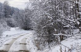 Teren intravilan, 22600mp, zona Manastirea Sucevita