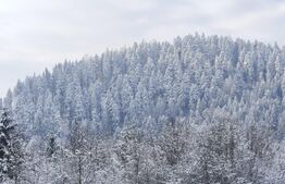 Teren intravilan, 22600mp, zona Manastirea Sucevita