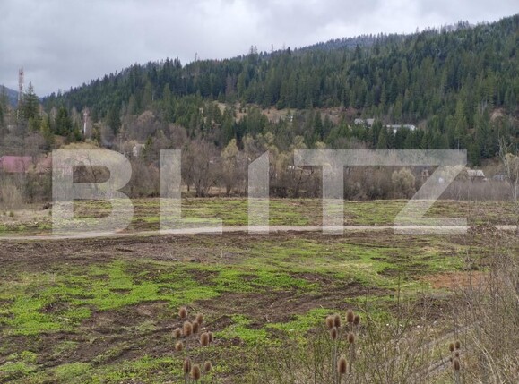 Teren de vânzare sucevita - 187025TV | BLITZ Suceava | Poza3