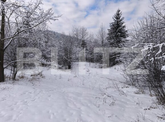 Teren de vânzare sucevita - 187025TV | BLITZ Suceava | Poza1