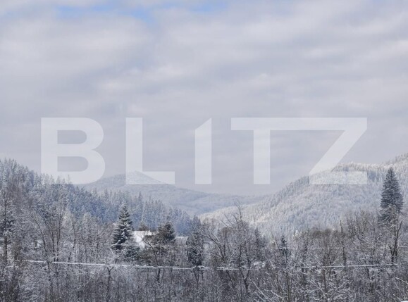 Teren de vânzare sucevita - 187025TV | BLITZ Suceava | Poza2