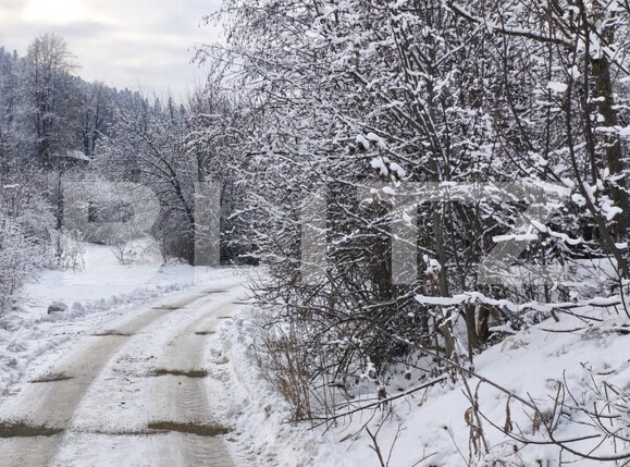 Teren de vânzare sucevita - 187025TV | BLITZ Suceava | Poza4