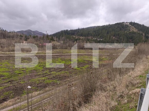 Teren de vânzare sucevita - 187025TV | BLITZ Suceava | Poza6