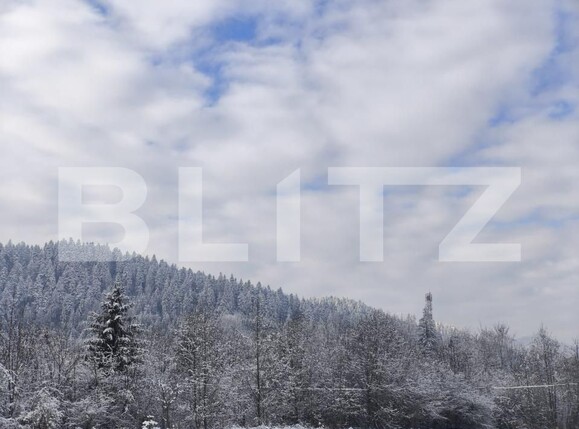 Teren de vânzare sucevita - 187025TV | BLITZ Suceava | Poza5