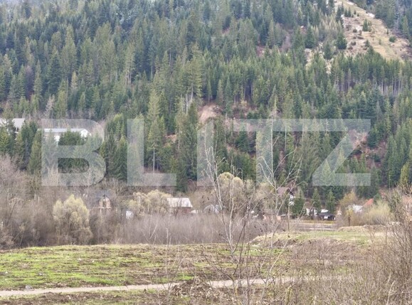Teren de vânzare sucevita - 187025TV | BLITZ Suceava | Poza4