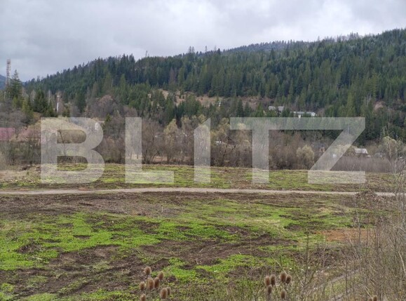 Teren de vânzare sucevita - 187025TV | BLITZ Suceava | Poza5