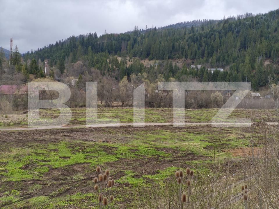 Teren de vânzare sucevita - 187025TV | BLITZ Suceava | Poza3