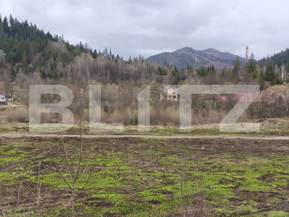 Teren de vânzare sucevita - 187025TV | BLITZ Suceava | Poza2