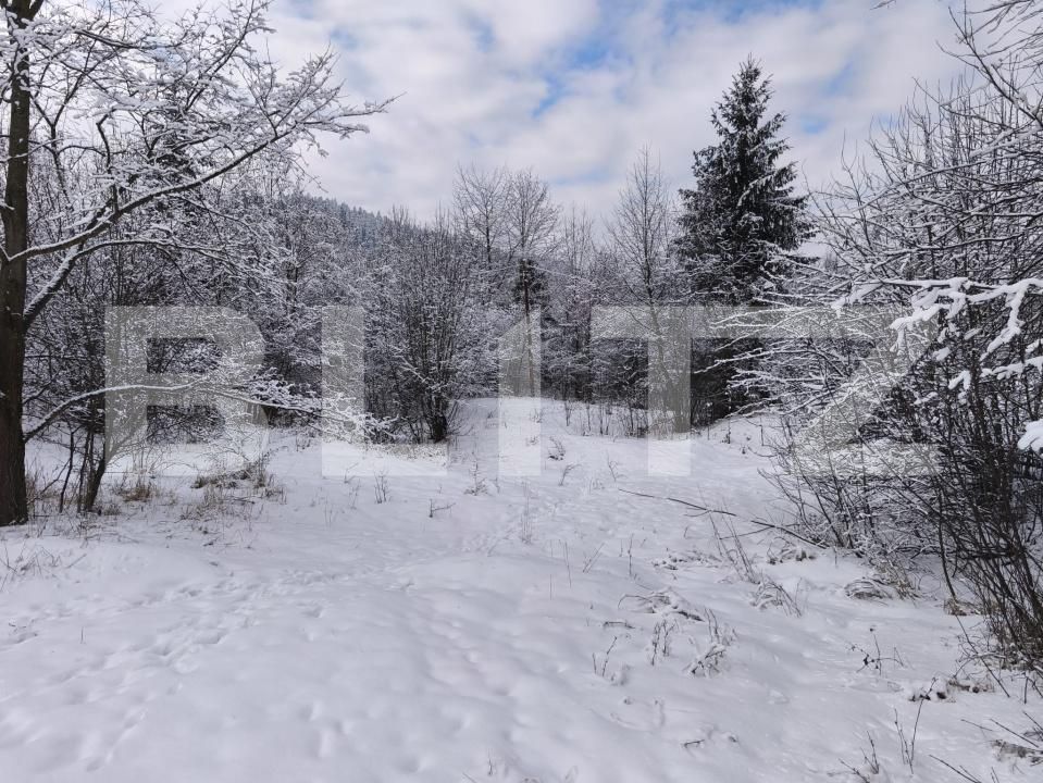 Teren de vânzare sucevita - 187025TV | BLITZ Suceava | Poza8