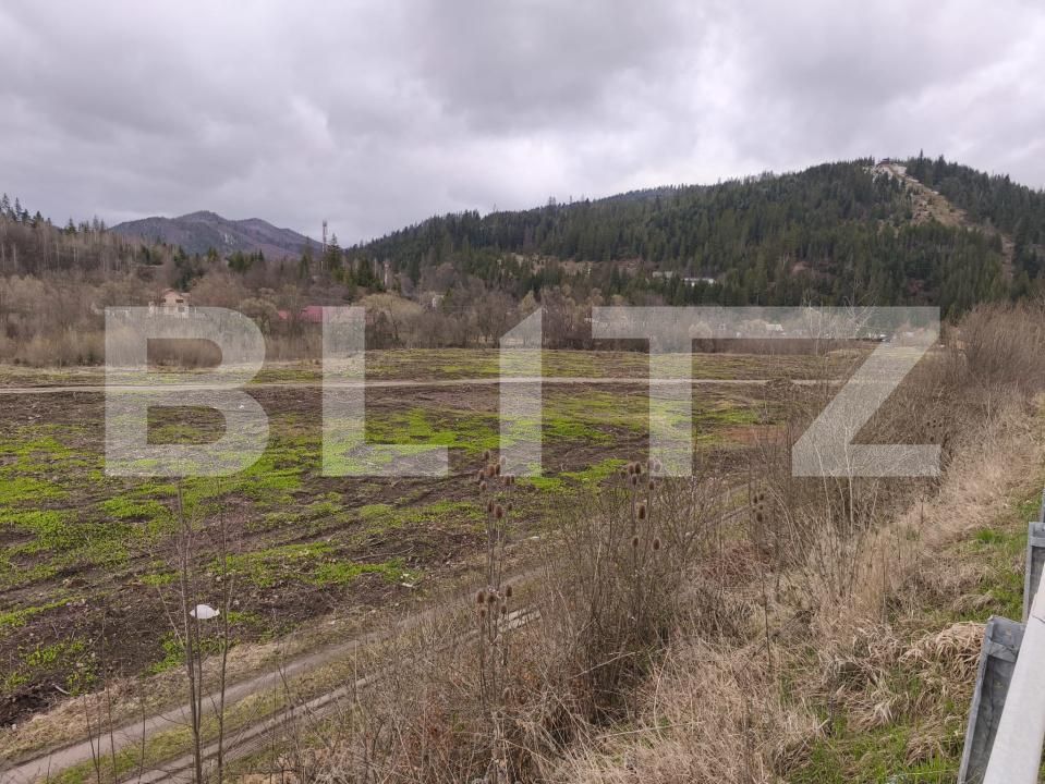 Teren de vânzare sucevita - 187025TV | BLITZ Suceava | Poza6