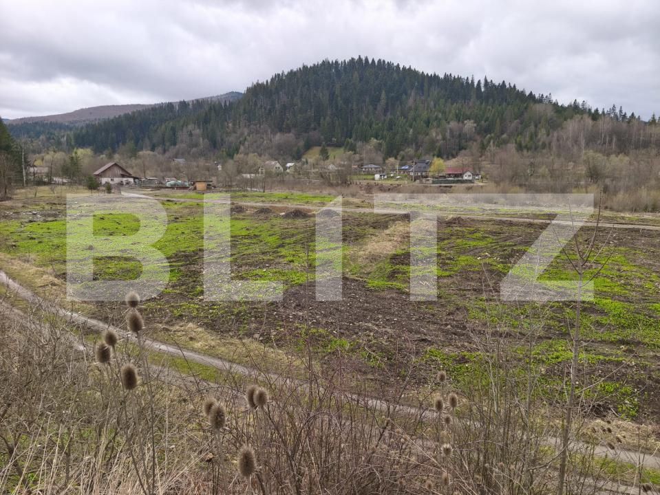 Teren de vânzare sucevita - 187025TV | BLITZ Suceava | Poza7