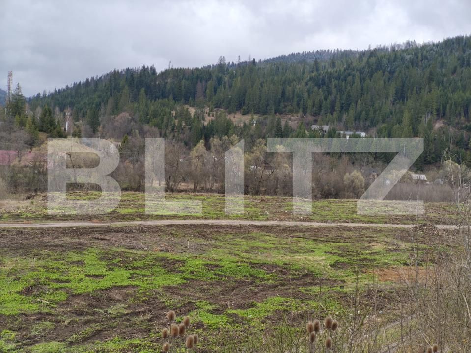Teren de vânzare sucevita - 187025TV | BLITZ Suceava | Poza5
